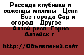 Рассада клубники и саженцы малины › Цена ­ 10 - Все города Сад и огород » Другое   . Алтай респ.,Горно-Алтайск г.